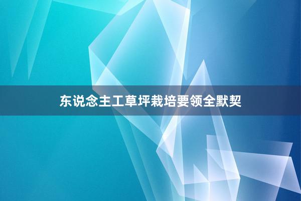 东说念主工草坪栽培要领全默契