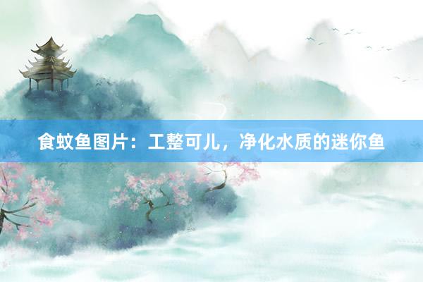 食蚊鱼图片：工整可儿，净化水质的迷你鱼